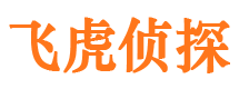 阜南找人公司